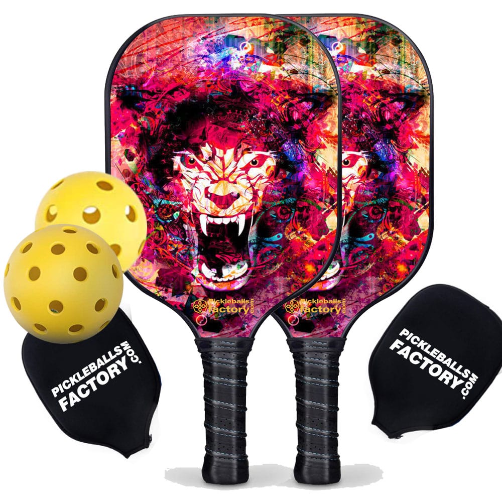 Best Pickleball Set - Pickleballtournament Paddle, Glassfiber Graphite