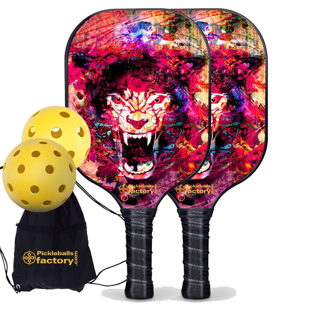 Best Pickleball Set - Pickleballtournament Paddle, Carbonfiber Graphite