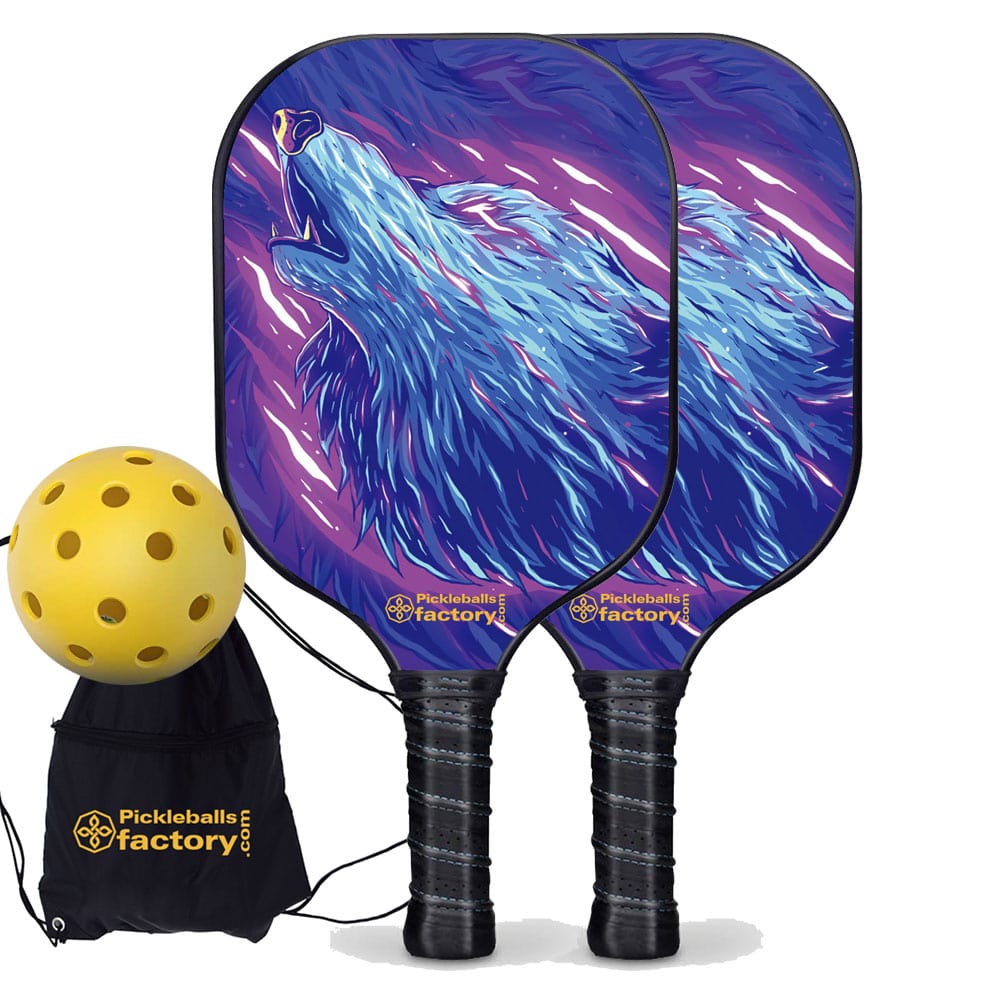 Pickleball Paddle Set, Glassfiber Graphite