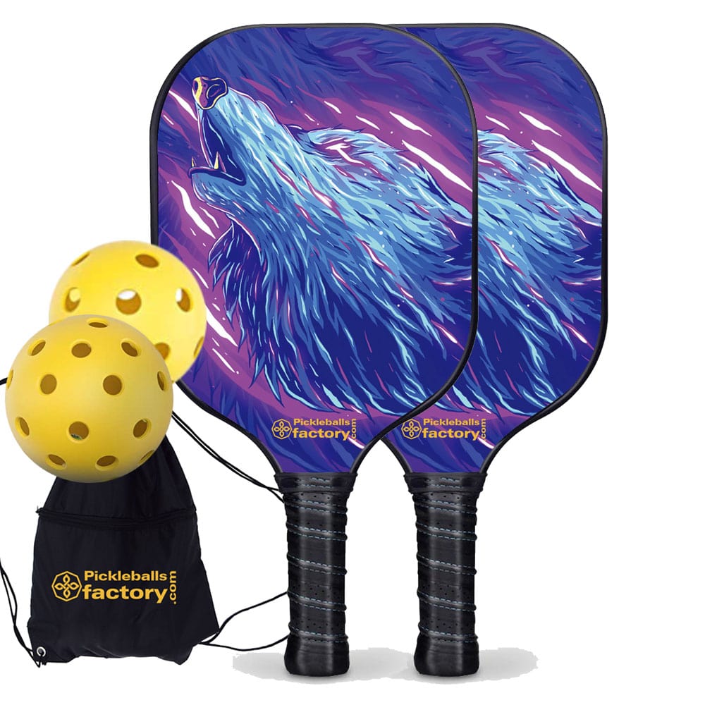 Pickleball Paddle Set, Glassfiber Graphite