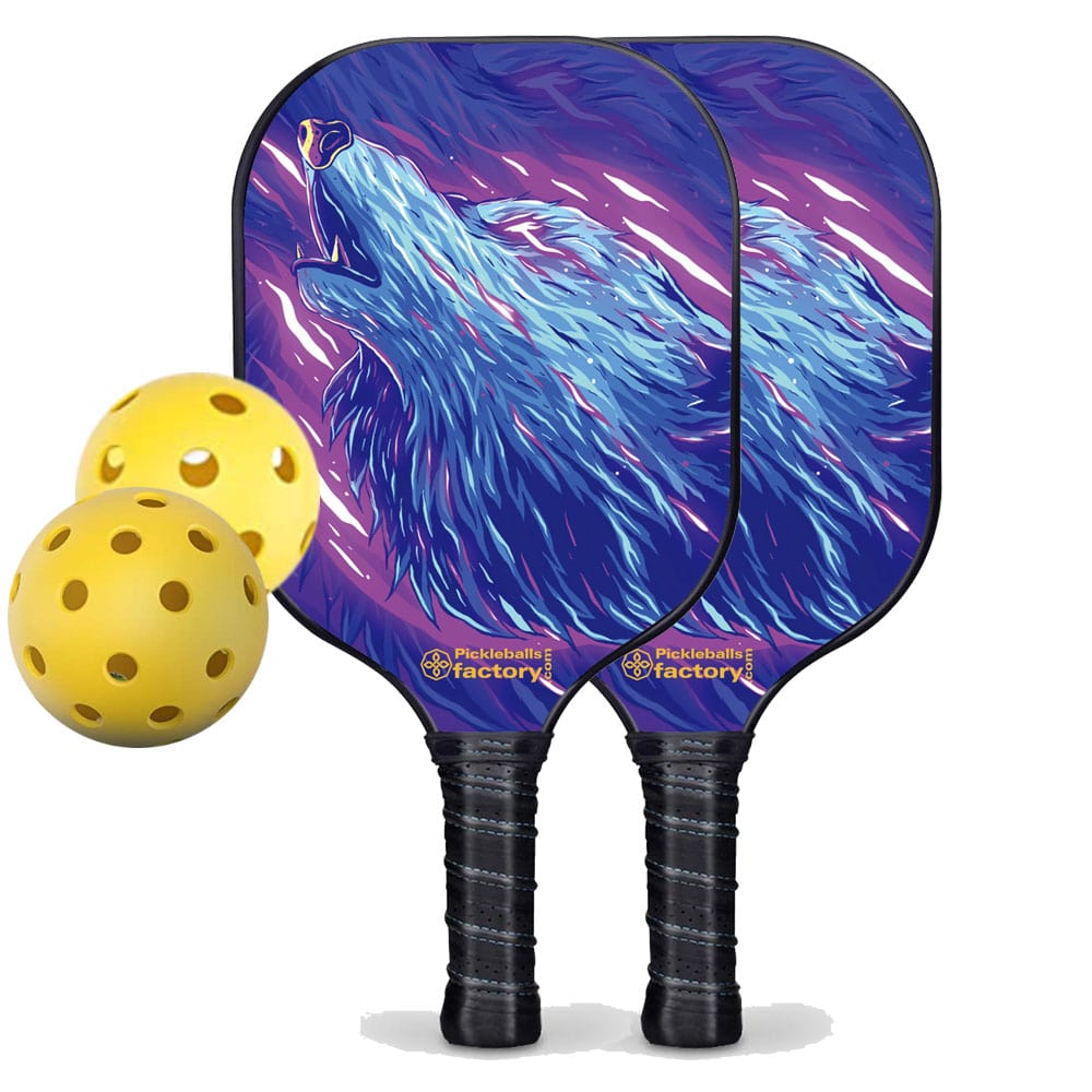 Pickleball Paddle Set, Carbonfiber Graphite
