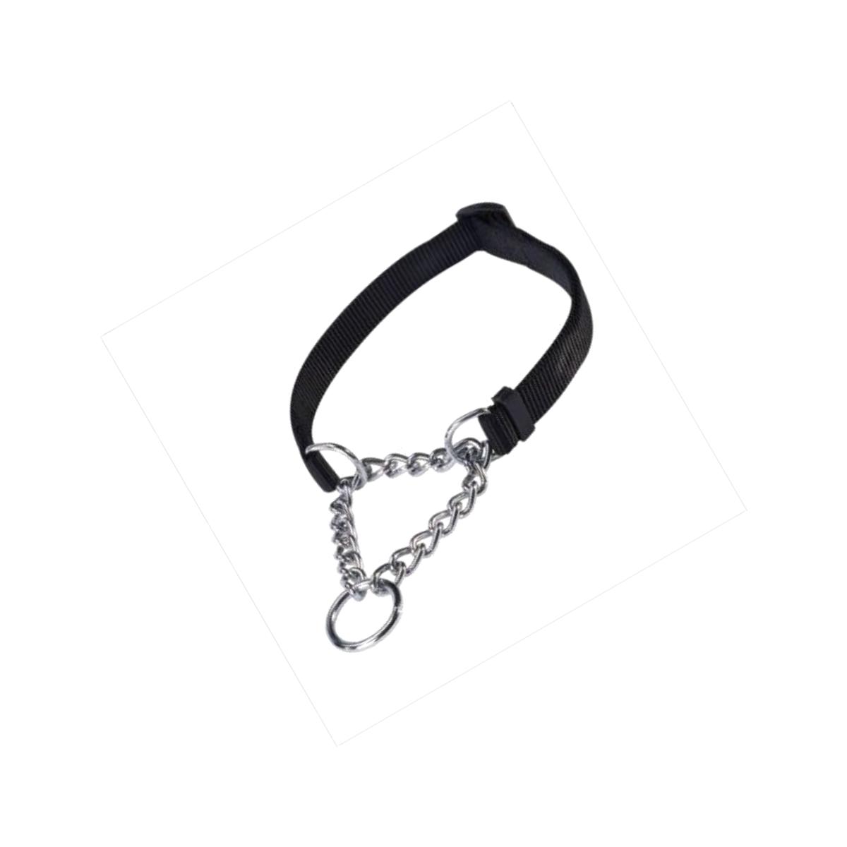 Picture of Pet Pals TP330 22 17 Guardian Martingale Collar 22-34 In Black