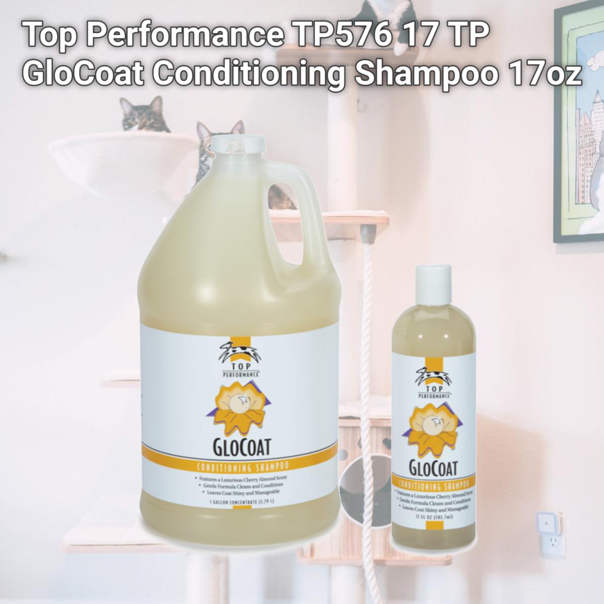 Picture of Top Performance TP576 17 TP GloCoat Conditioning Shampoo 17oz