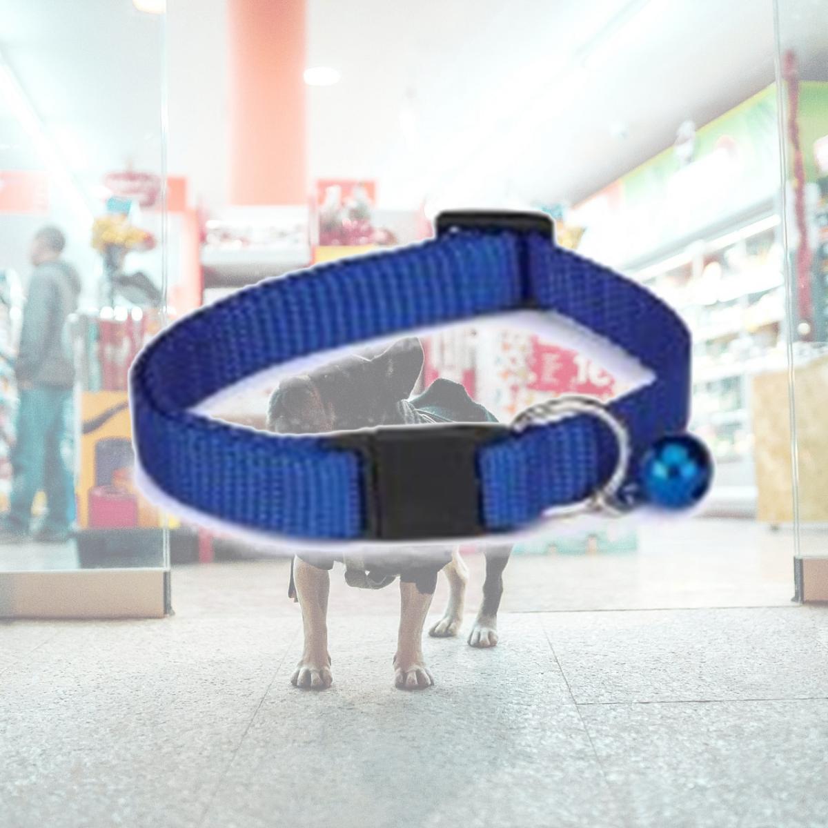 Picture of Guardian Gear ZA1000 08 19 Basic Nylon Cat Collar 8-12 In Blue