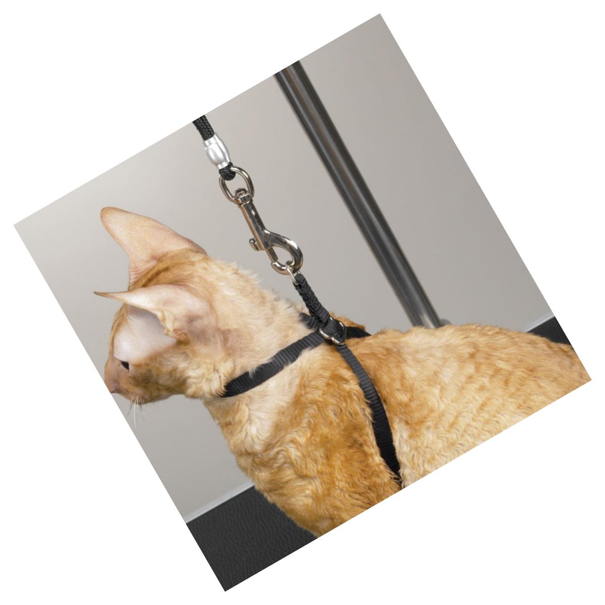 Picture of Top Performance TP18120 Adj Nylon Grmg Cat Harness 40 In