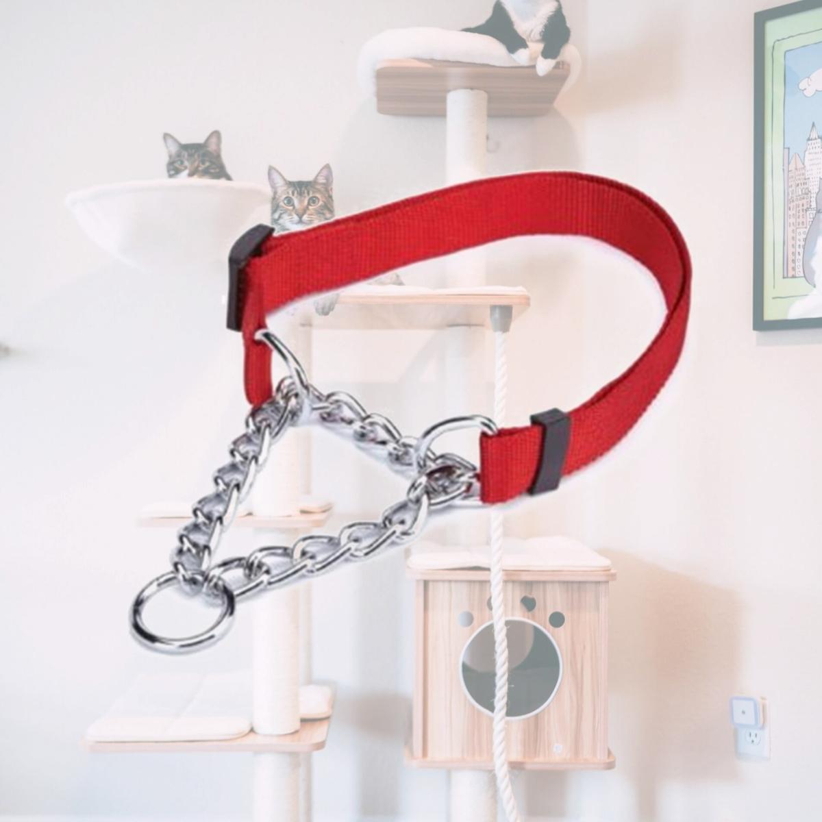 Picture of Guardian TP330 16 83 Martingale Collar 16-24 In Red