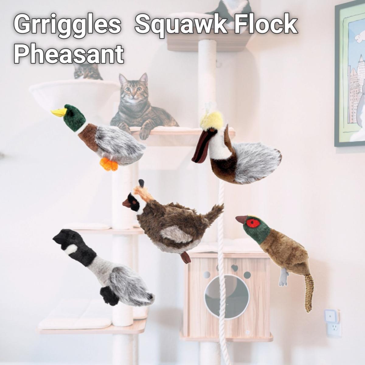 Picture of Grriggles US482 14 Squawk Flock Pheasant