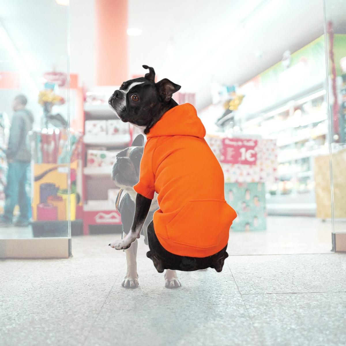 Picture of Zack & Zoey US2101 24 71 Basic Hoodie XL Org