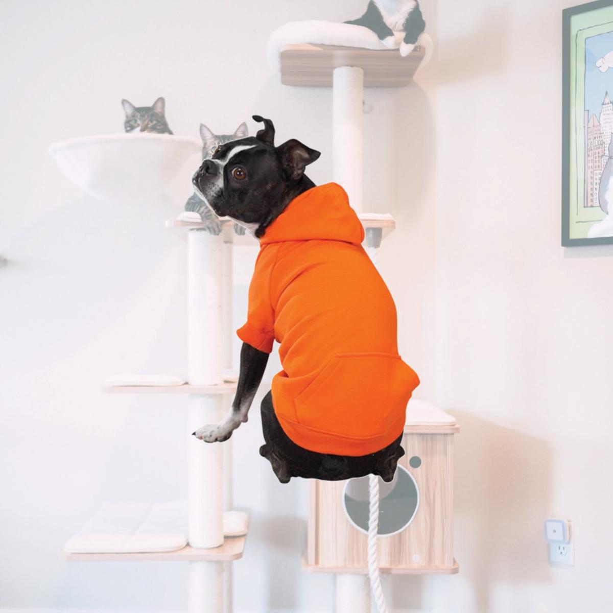 Picture of Zack & Zoey US2101 24 57 Basic Hoodie XL DkB
