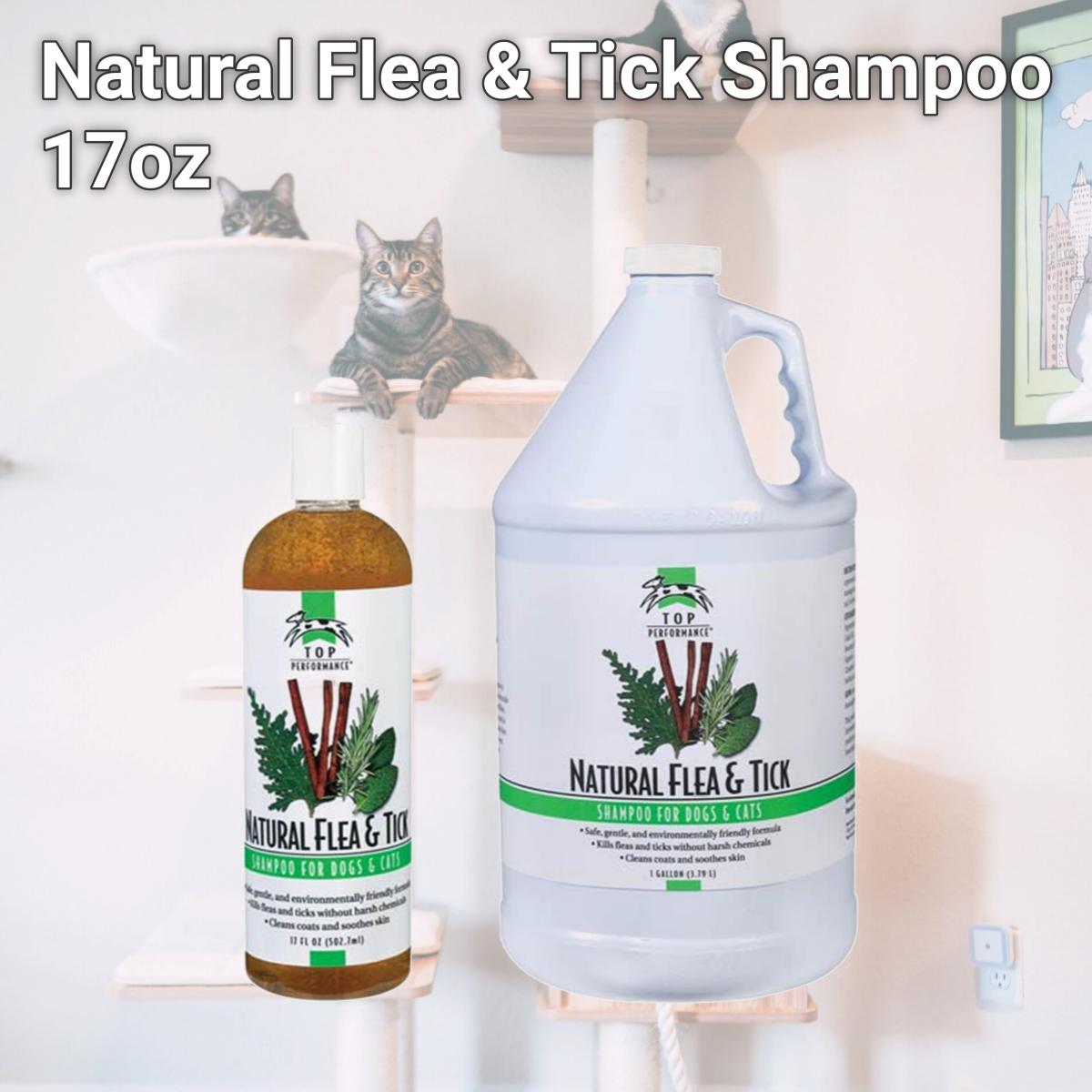 Picture of Top Performance TP657 17 Natural Flea & Tick Shampoo 17oz