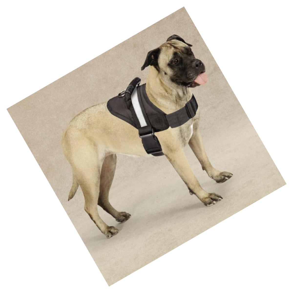 Picture of Guardian Gear ZA6223 28 17 Excursion Harness 26-36 In Black