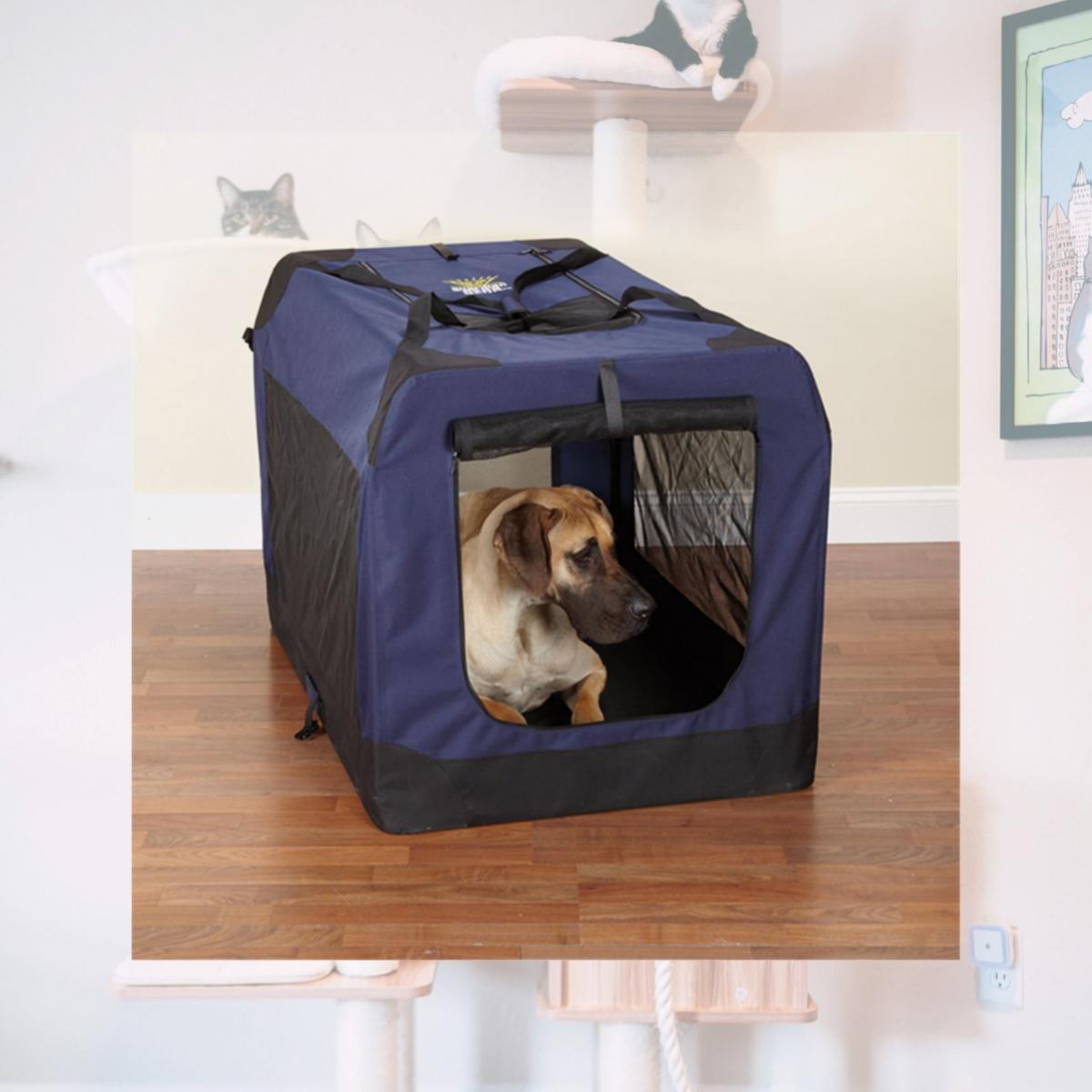 Picture of Pet Pals ZA411 36 Guardian Gear Soft Crate Med Royal Blue S
