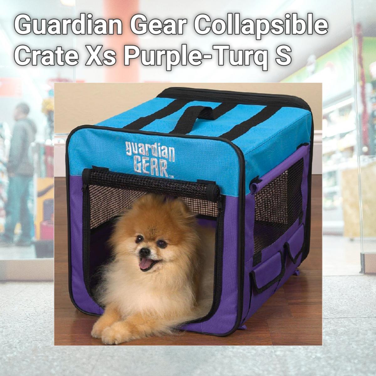 Picture of Pet Pals ZA420 18 Guardian Gear Collapsible Crate Xs Purple-Turq S