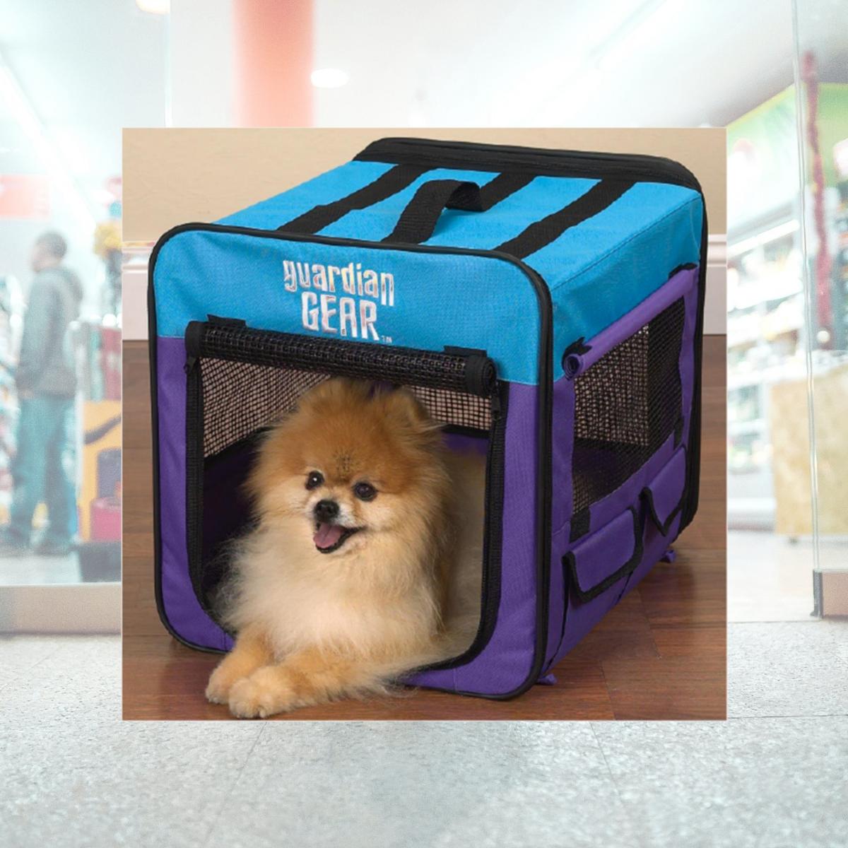 Picture of Pet Pals ZA420 18 Guardian Gear Collapsible Crate Xs Purple-Turq S
