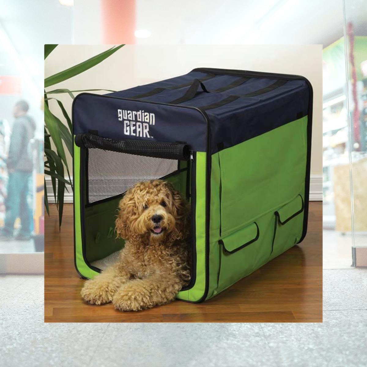 Picture of Pet Pals ZA420 31 Guardian Gear Collapsible Crate Med Lime-Blue S