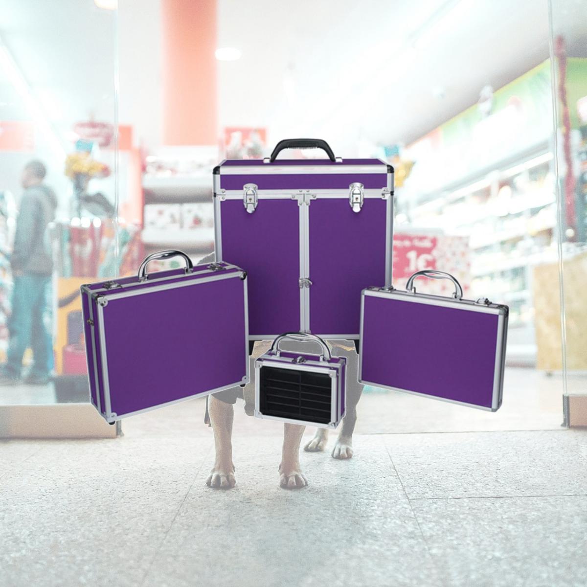 Picture of Top Performance TP661 10 Clipper Case Chrome