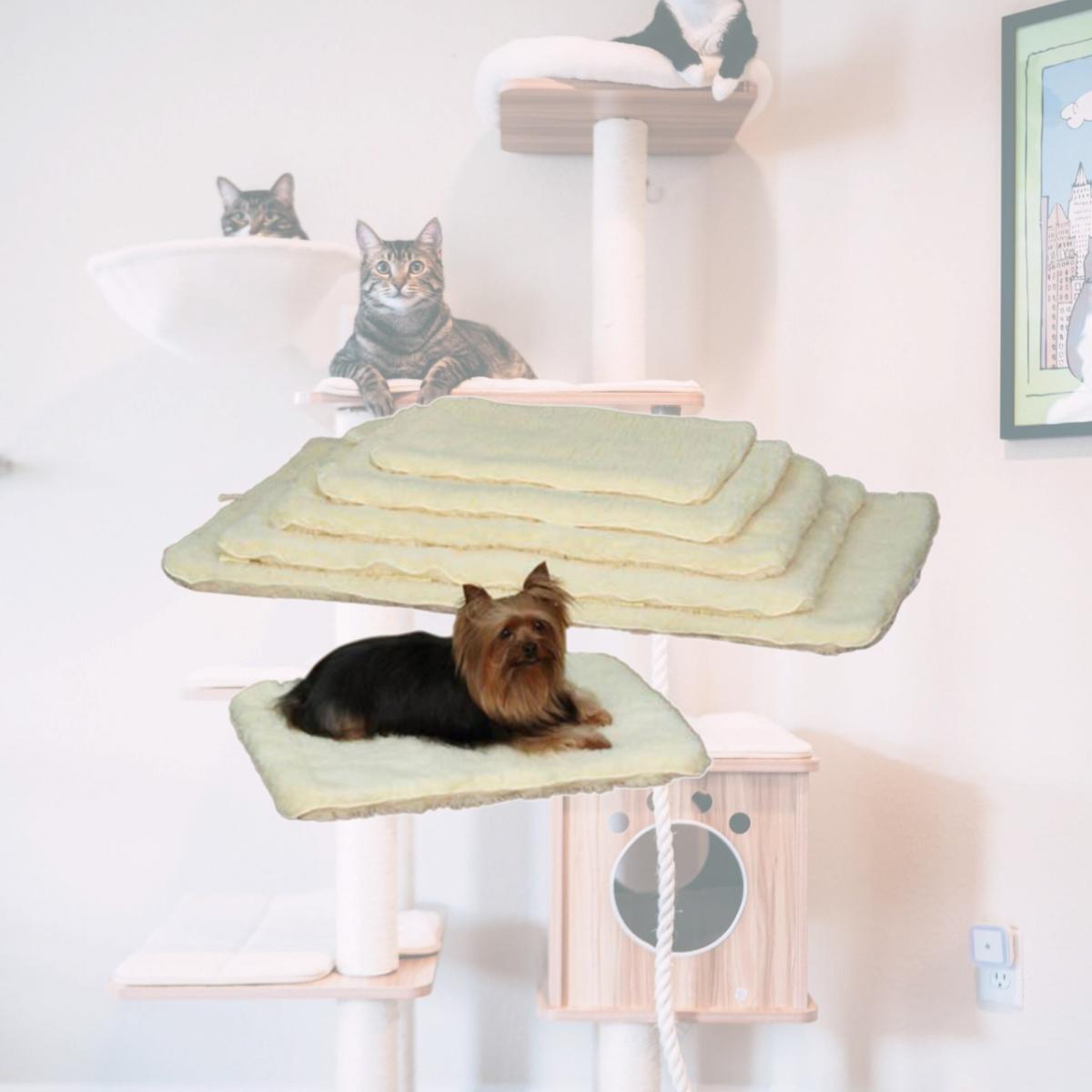 Picture of Slumber Pet ZA427 41 55 Dbl Sided Sherpa Mat Lrg Natural
