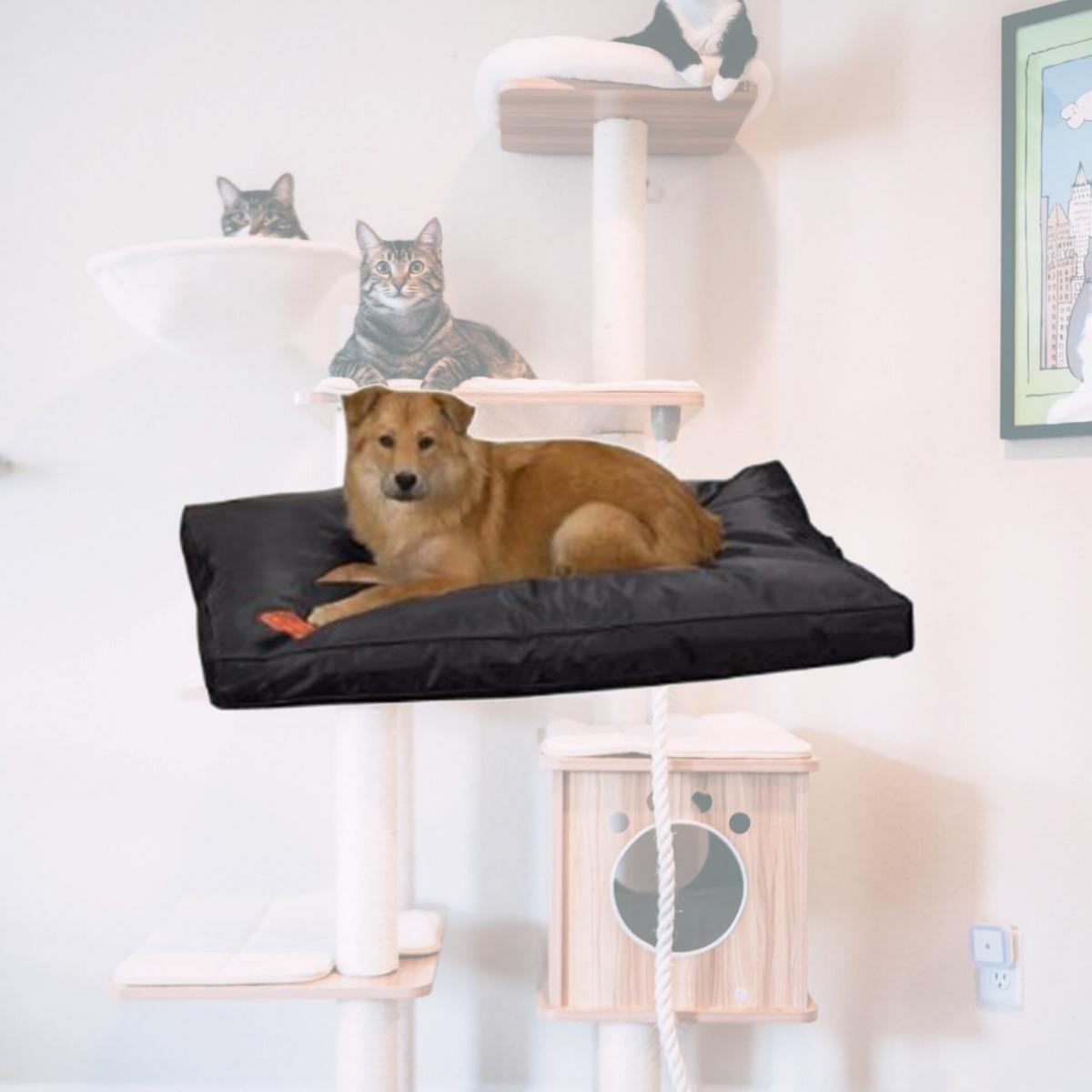 Picture of Slumber Pet ZW3422 36 17 Slumber Pet Toughstructable Bed 36x23 In Black