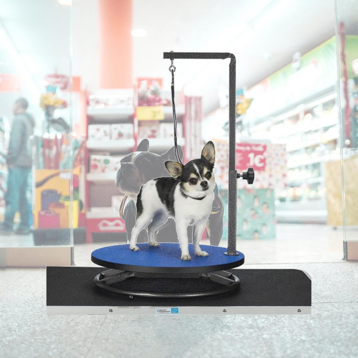 Picture of Master Equipment TP160 19 Small Pet Grooming Table Blue S