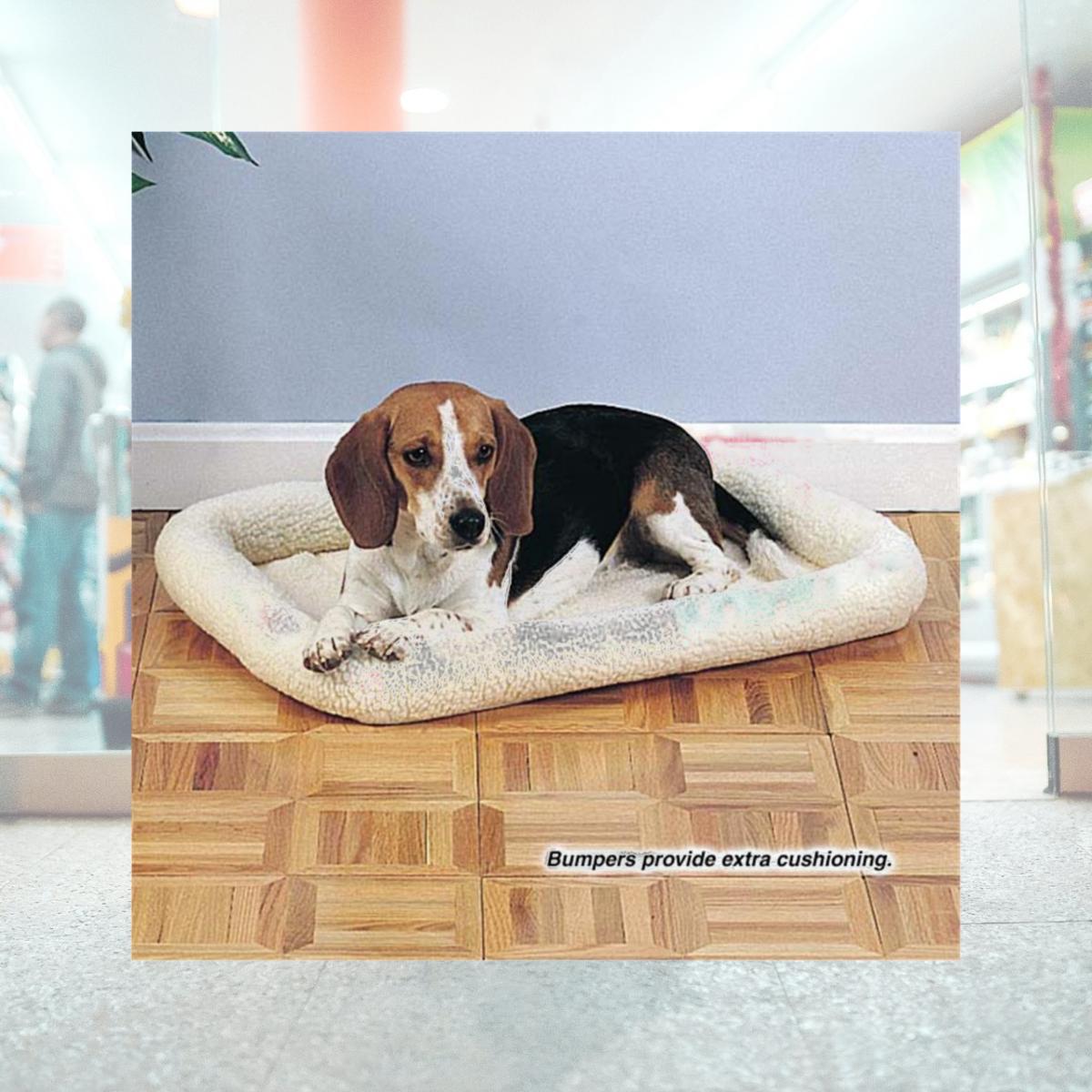Picture of Pet Pals ZW250 24 Slumber Pet Sherpa Crate Bed 23.75 x 16.75 In