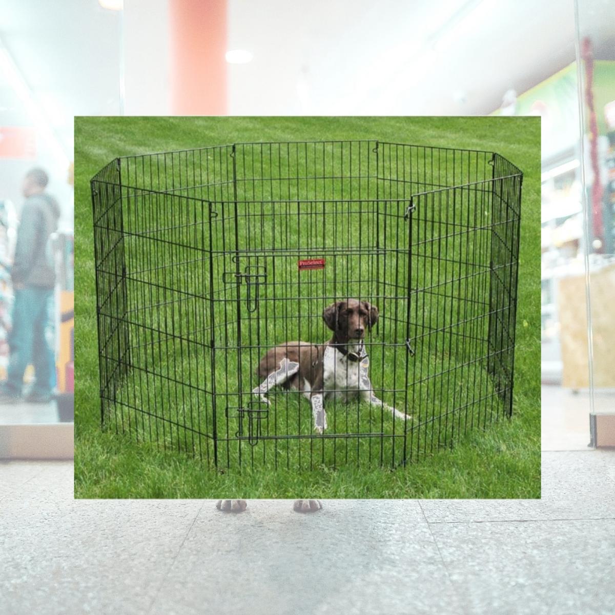 Picture of Pet Pals ZW121 30 ProSelect Black Everlasting X-Pen with Door 30 In S