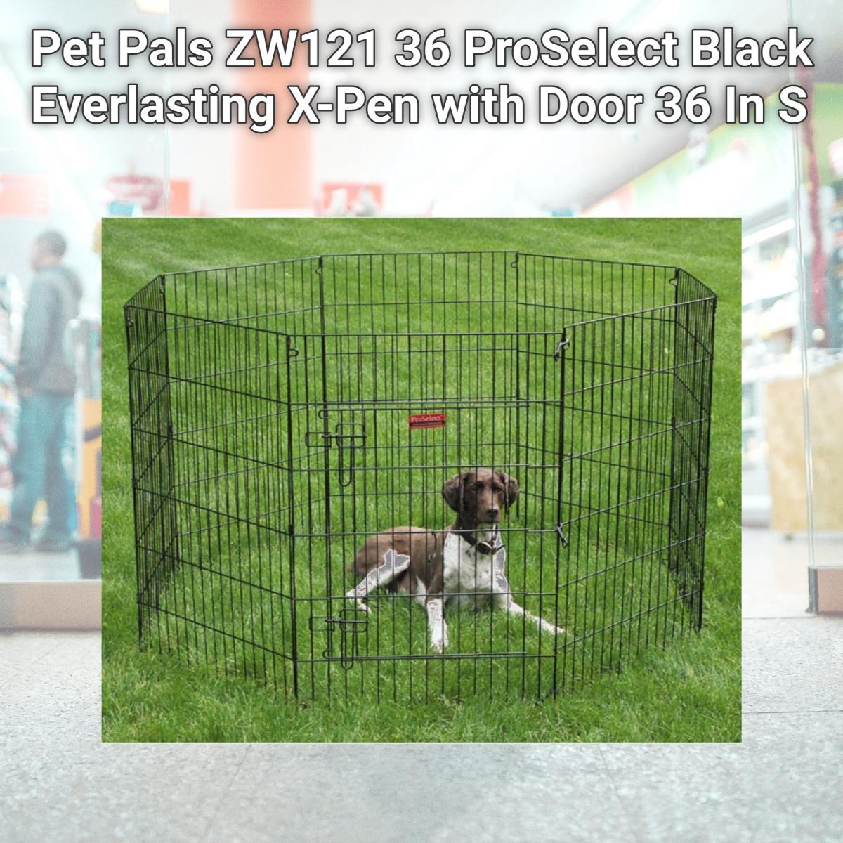 Picture of Pet Pals ZW121 36 ProSelect Black Everlasting X-Pen with Door 36 In S