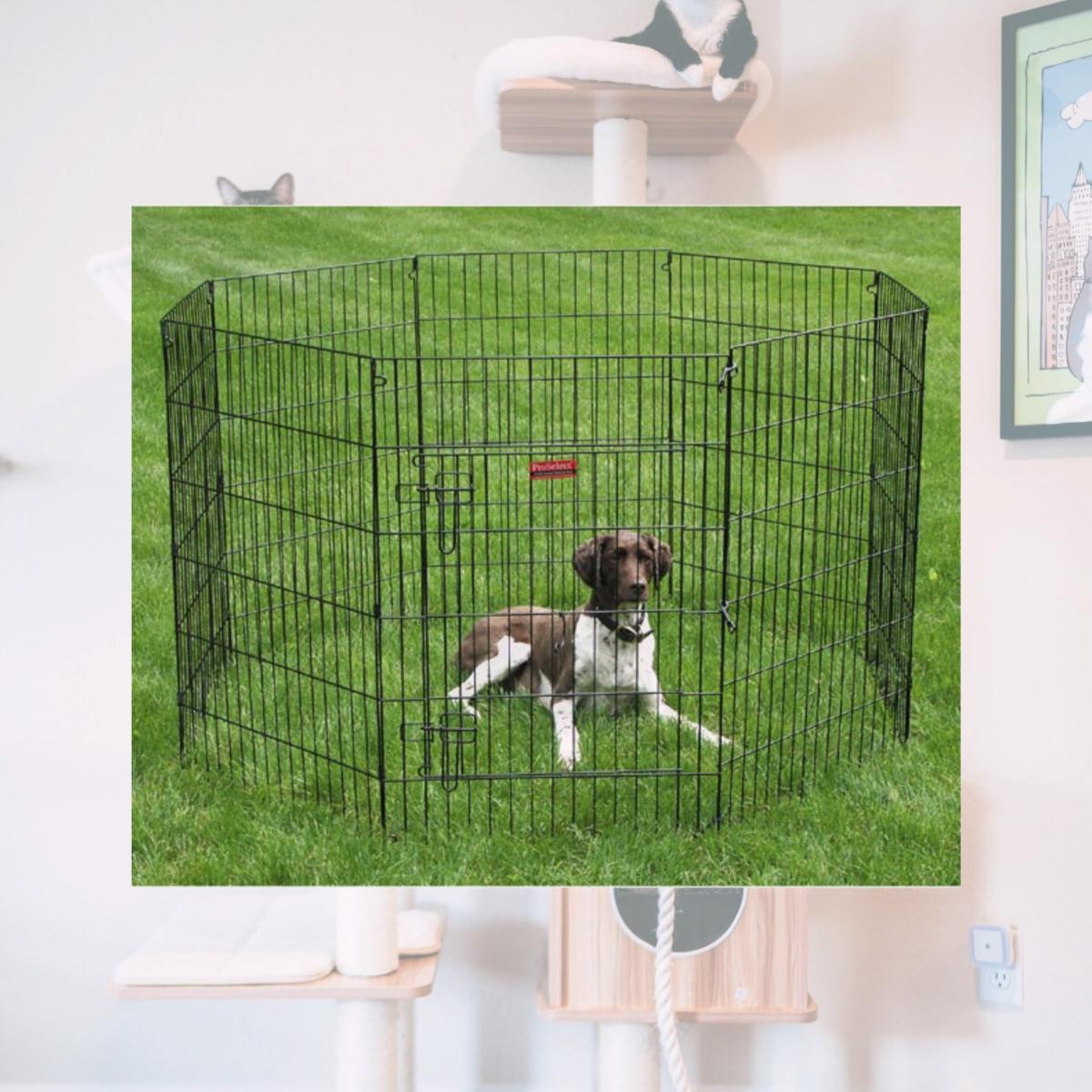 Picture of Pet Pals ZW121 36 ProSelect Black Everlasting X-Pen with Door 36 In S