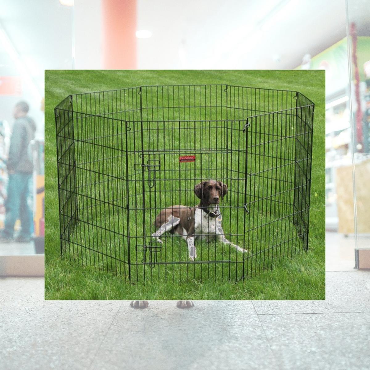 Picture of Pet Pals ZW121 42 ProSelect Black Everlasting X-Pen with Door 42 In S