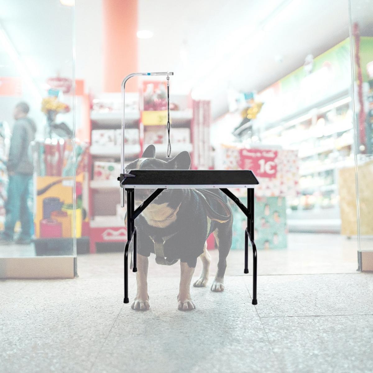 Picture of Pet Pals TP154 30 Master Equipment Grmg Table with Arm 30x18x32 In S