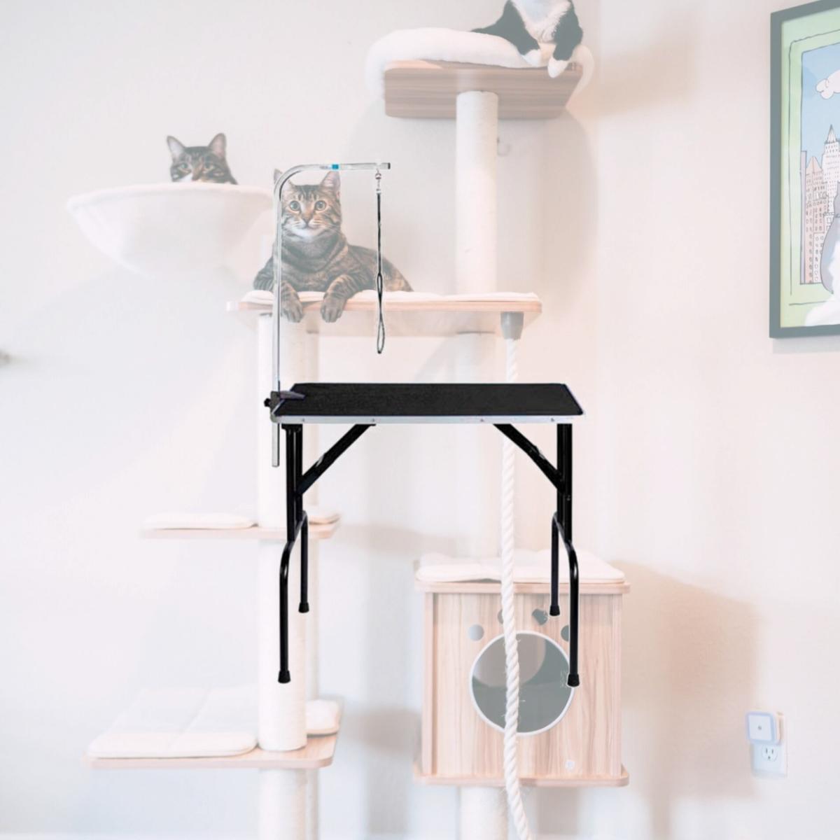 Picture of Pet Pals TP154 48 Master Equipment Grmg Table with Arm 48x23x30 In S