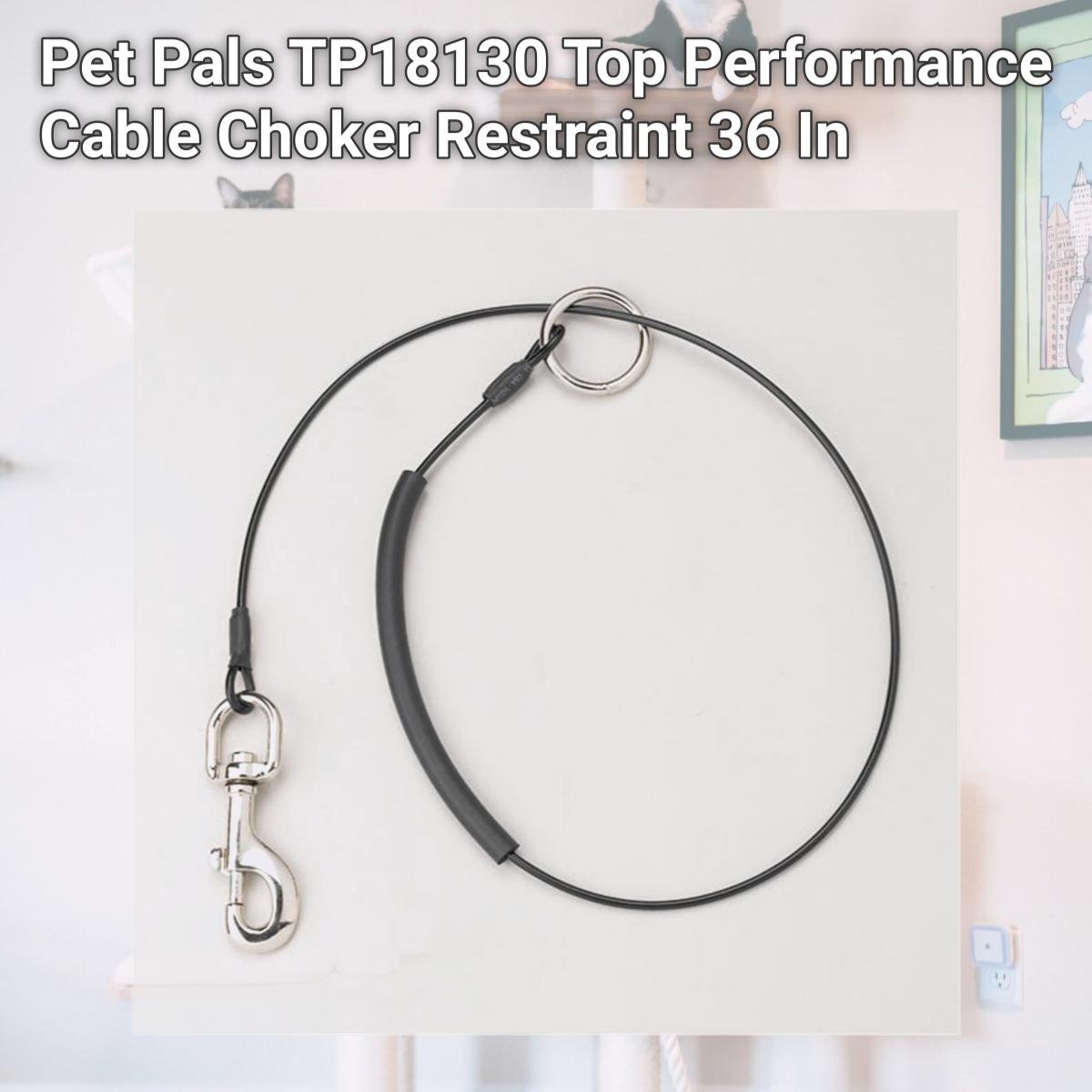 Picture of Pet Pals TP18130 Top Performance Cable Choker Restraint 36 In