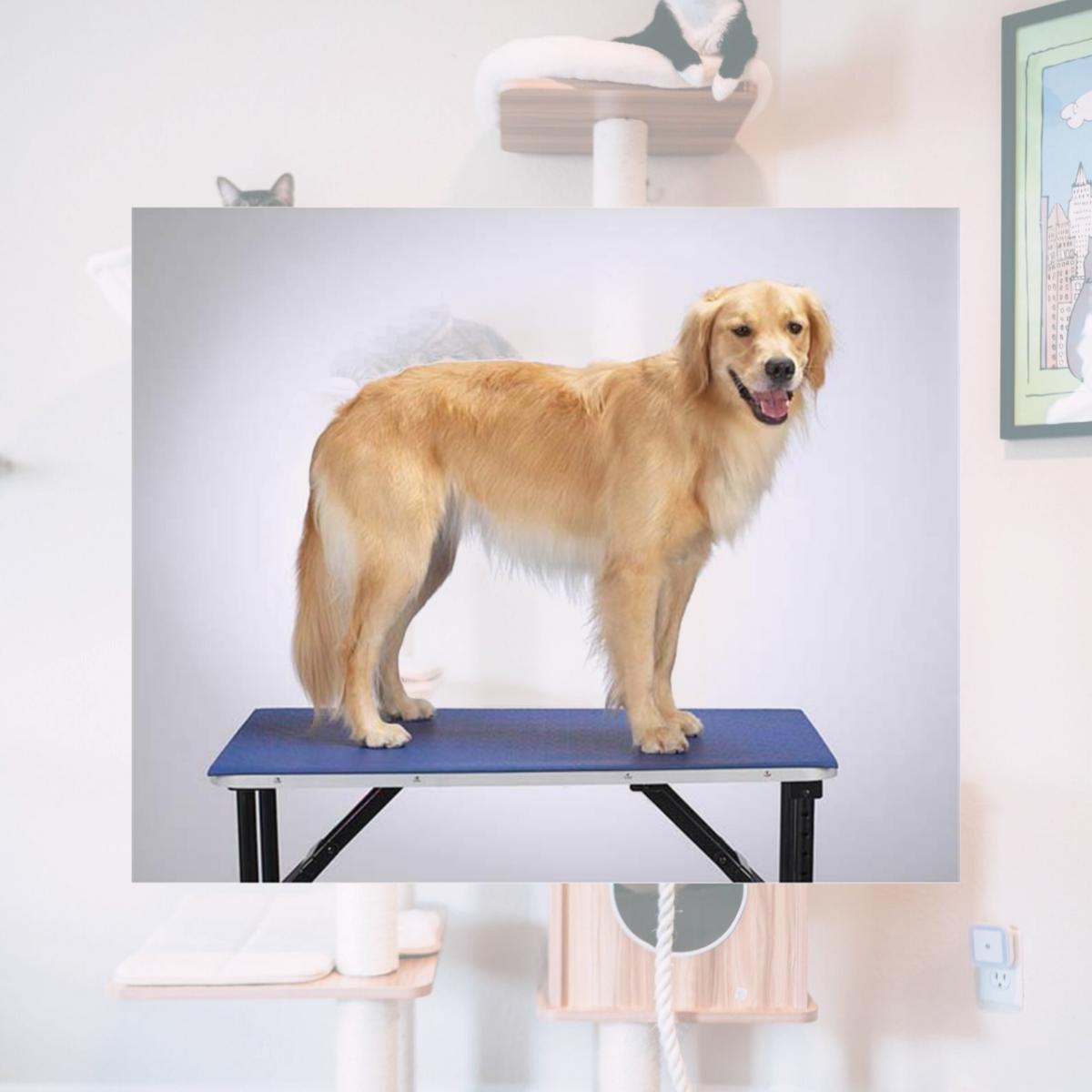 Picture of Pet Pals TP4602 24 19 Top Performance Table Mat 24x36 In Blue