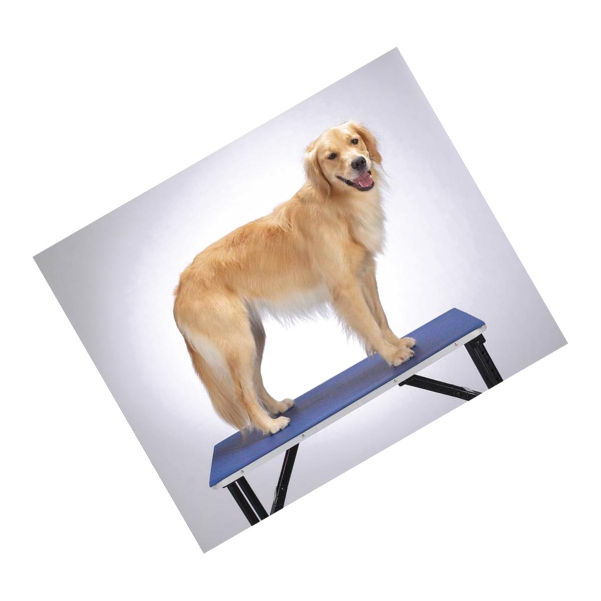 Picture of Pet Pals TP4602 48 19 Top Performance Table Mat 24x48 In Blue