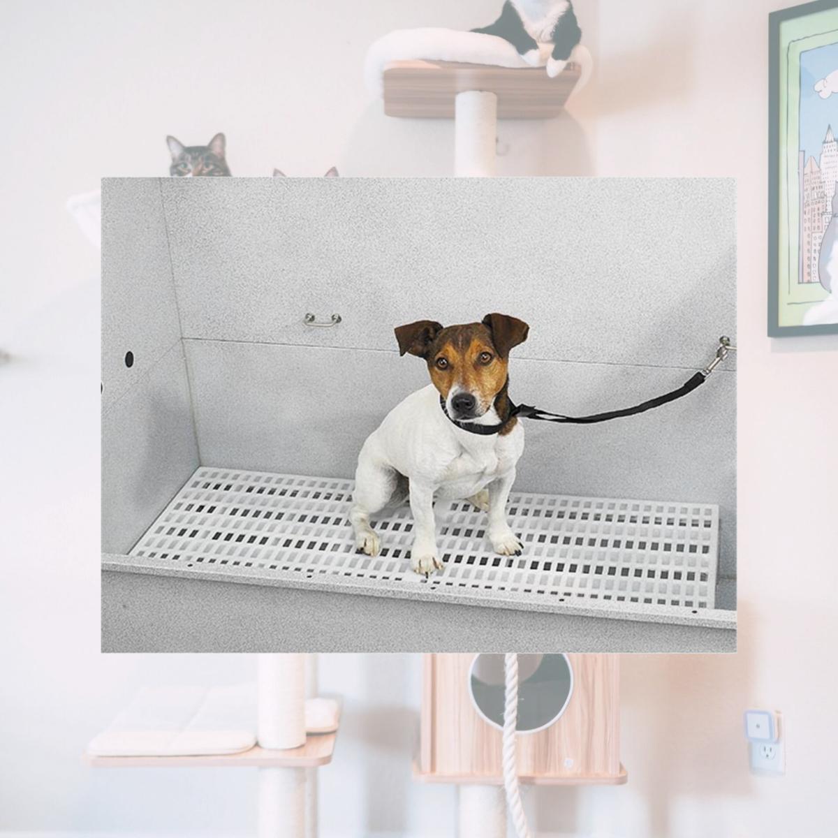 Picture of Pet Pals TP88944 Master Equipment Tub Rack 35.5x24 In S