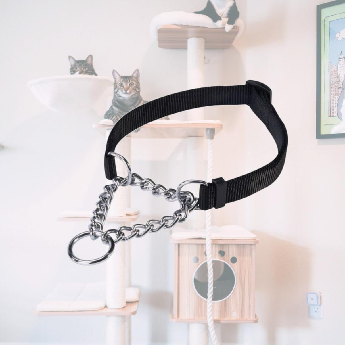 Picture of  Guardian Martingale Collar 13-18 In Black
