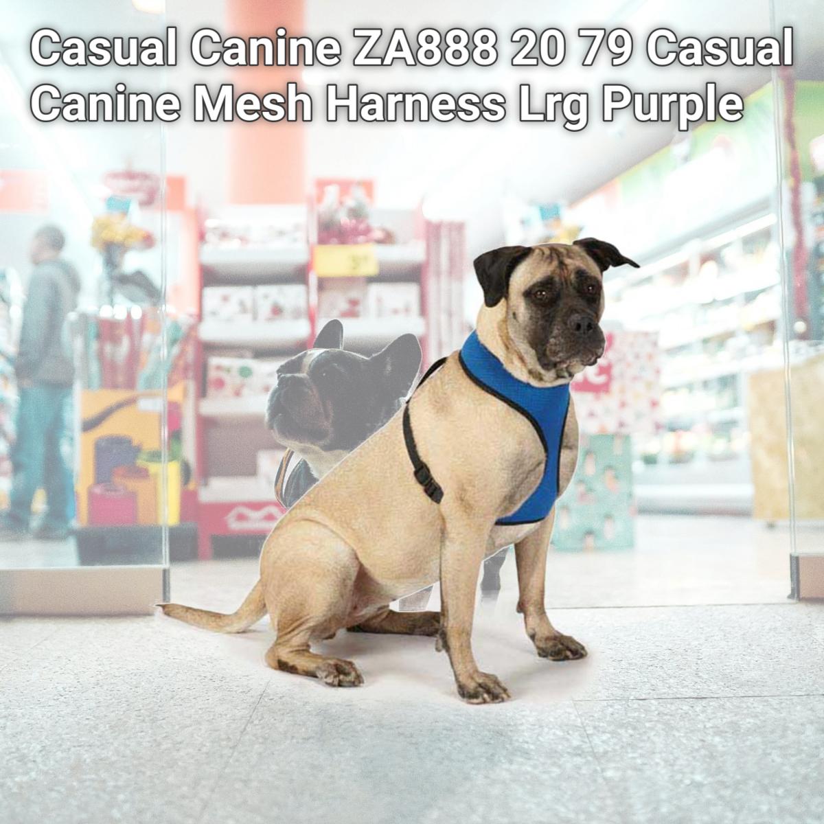 Picture of Casual Canine ZA888 20 79 Casual Canine Mesh Harness Lrg Purple