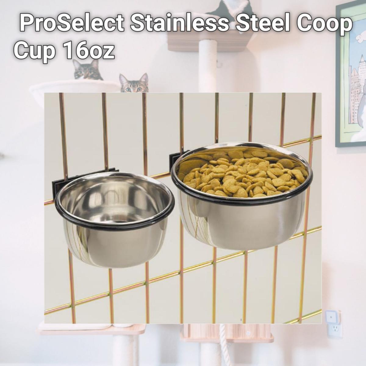 Picture of  ProSelect Stainless Steel Coop Cup 16oz