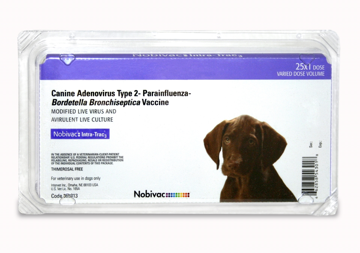 Picture of Intervet & Merck Animal Health 003SCH04-25 25 x 1 Dose Nobivac Intra-Trac 3 Intranasal for Dog