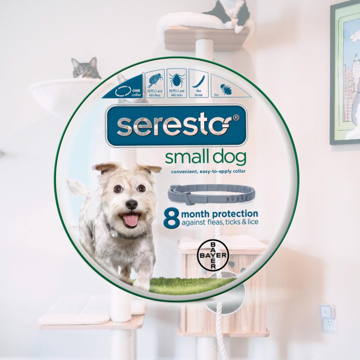 Picture of Bayer Animal Health 004BAY-80100 15 in. Seresto Flea & Tick Small Dogs Collars