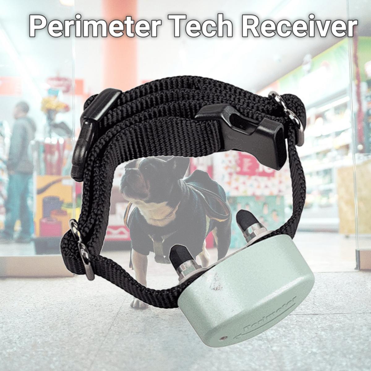 Picture of Perimeter Technologies PTPFS-003 Perimeter Tech Receiver