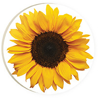 COA1040 Sunflower Car Coaster