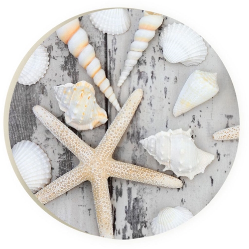 Picture of P. Graham Dunn CST0074 Starfish & Seashells Car Coaster