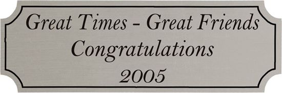 ZBPL0001 4.5 x 1.5 in. Great Time Great Friends Script Design - Silver