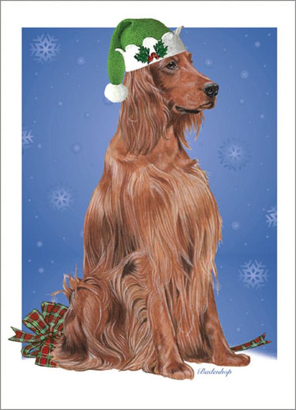 Irish Setter Boxed Christmas Cards - Set of 10