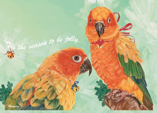 Sun Conure Parrot Boxed Christmas Cards - Set of 10