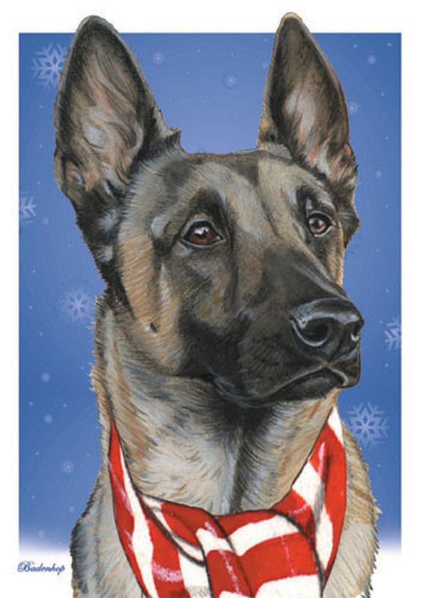 Belgian Malinois Boxed Christmas Cards - Set of 10