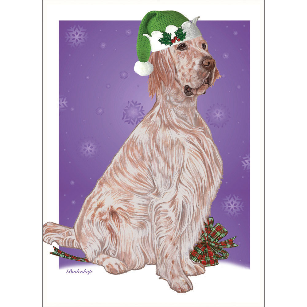 English Setter Boxed Christmas Cards - Set of 10
