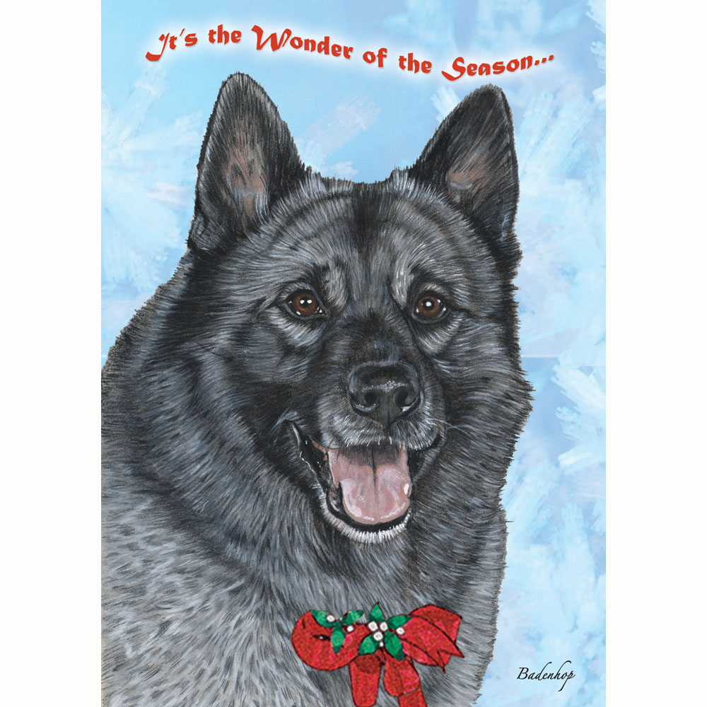 Norwegian Elkhound Boxed Christmas Cards - Set of 10