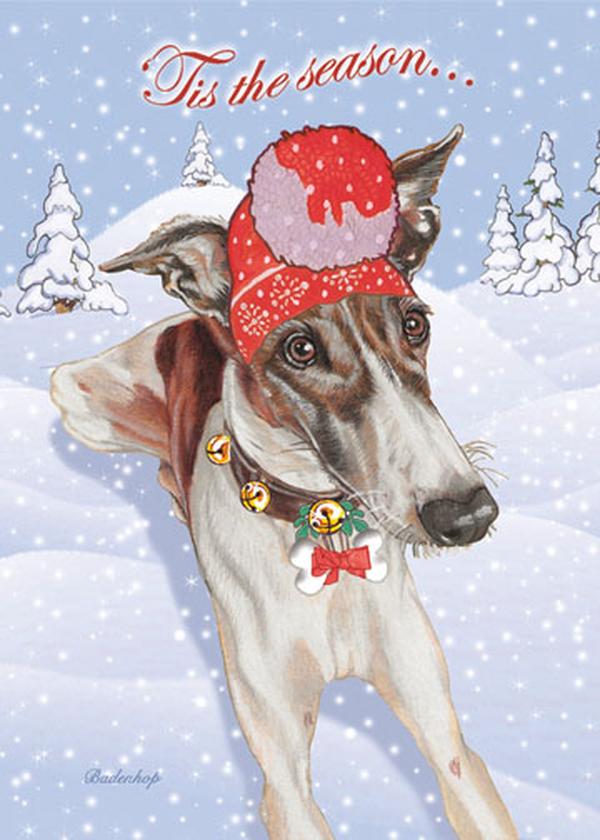 C764 Hound Brindle Boxed Christmas Cards, White & Grey - Set of 10