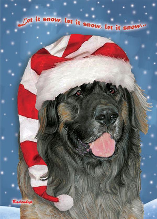 Leonberger Boxed Christmas Cards - Set of 10
